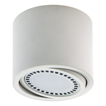 PP P 228 WH PLAFON NOWOCZESNA LAMPA SUFITOWA OPRAWA NATYNKOWA WALEC BIAŁY ES111 QR111 AR111 GU10 LED