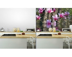 Fototapeta Magnolia Japońska