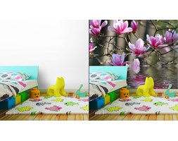 Fototapeta Magnolia Japońska