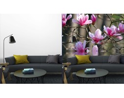 Fototapeta Magnolia Japońska