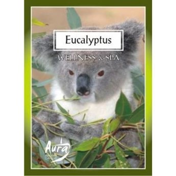 Bispol Scented Tealights podgrzewacze zapachowe ~ 4 h 6 szt - Eucalyptus