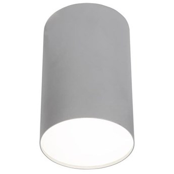 Lampa sufitowa/spot POINT PLEXI SILVER L śr.13cm