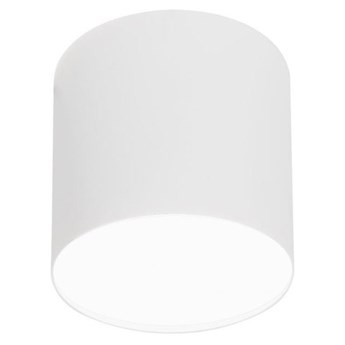 Lampa sufitowa/spot POINT PLEXI WHITE M śr.13cm