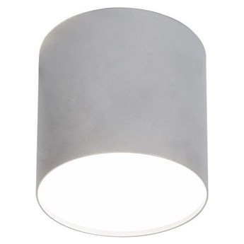 Lampa sufitowa/spot POINT PLEXI SILVER M śr.13cm