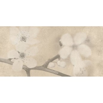 Gres szkliwiony inserto EARLY PASTELS beige flower mat 29x59,3 gat. I
