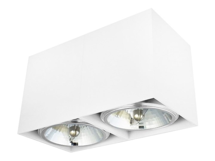 Oprawa natynkowa podwójna prostokątna 2x QR111 aluminium ruchoma biała Oprawa stropowa Oprawa halogenowa Prostokątne Oprawa ruchoma Kolor Biały