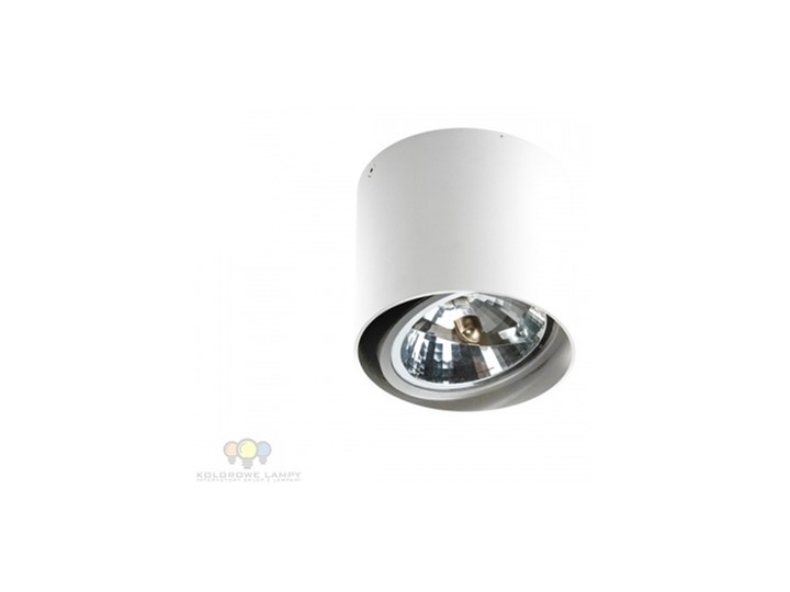 AZ1356 Lampa ALIX 12V White GM4110 WH Azzardo Oprawa led Kolor Biały Oprawa stropowa Okrągłe Kategoria Oprawy oświetleniowe