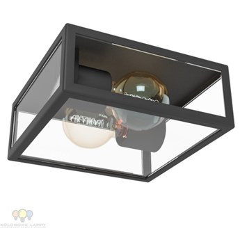 94832 Eglo Alamonte 1 PLAFON ogród