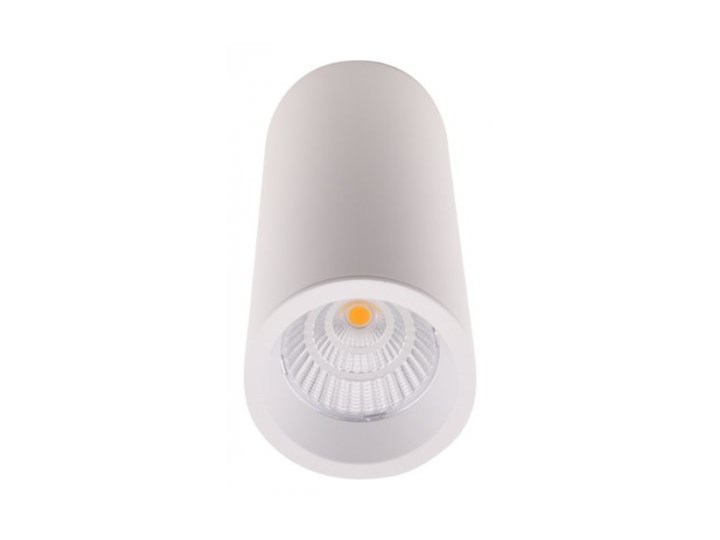 Long C0153 lampa sufitowa/plafon okrągły biały Okrągłe Oprawa dekoracyjna Oprawa led Oprawa stropowa Kategoria Oprawy oświetleniowe