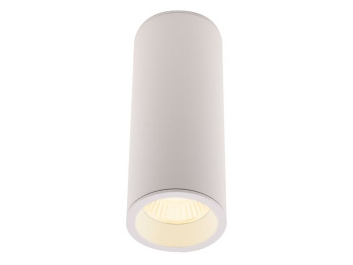 Long C0153 lampa sufitowa/plafon okrągły biały Oprawa dekoracyjna Okrągłe Oprawa stropowa Oprawa led Kategoria Oprawy oświetleniowe