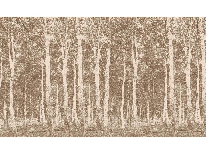 Fototapeta Mr Perswall Accessories DM216-1 Fototapety do salonu Kategoria Fototapety Wzór Natura