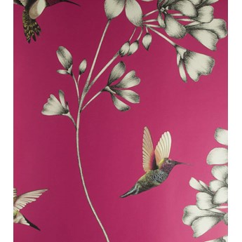 Tapeta Harlequin Amazilia Amazilia Flamingo 111058