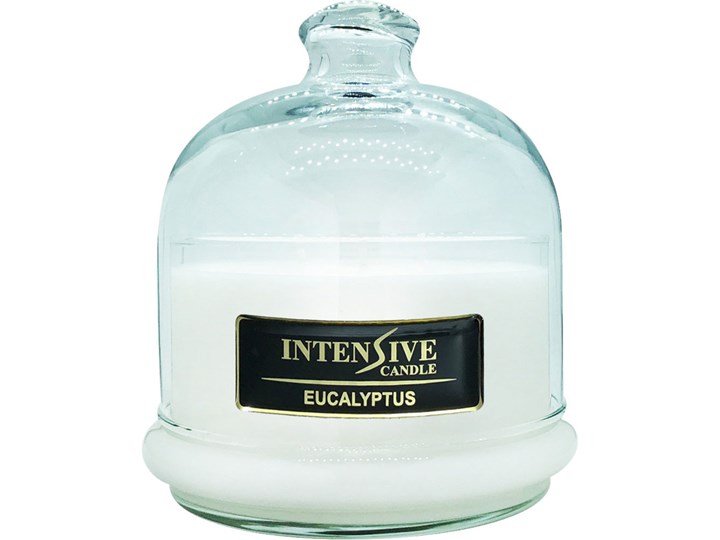 INTENSIVE COLLECTION 100% Soy Wax Premium Candle B2 Jar świeca zapachowa w szkle z kloszem 100% wosk sojowy - Eucalyptus