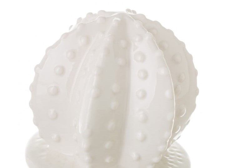 Ceramiczny kaktus dekoracyjny Unimasa Zwierzęta Rośliny Ceramika Kategoria Figury i rzeźby