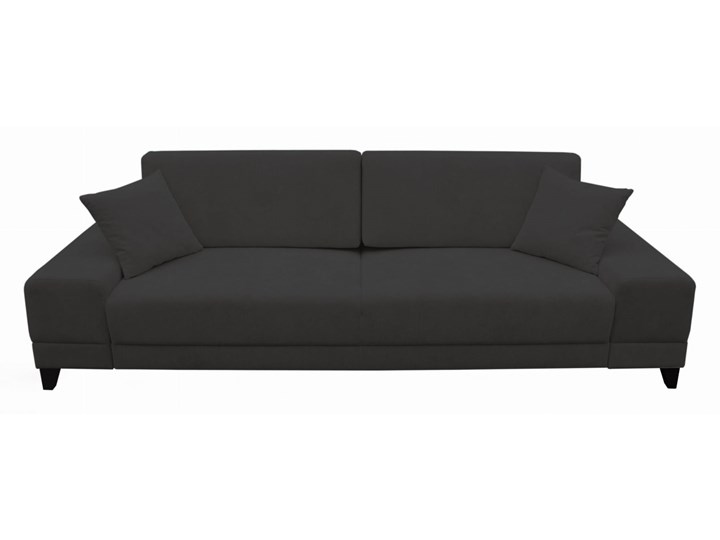 Sofa BRISTOL z funkcją spania Stała konstrukcja Rozkładanie Rozkładana