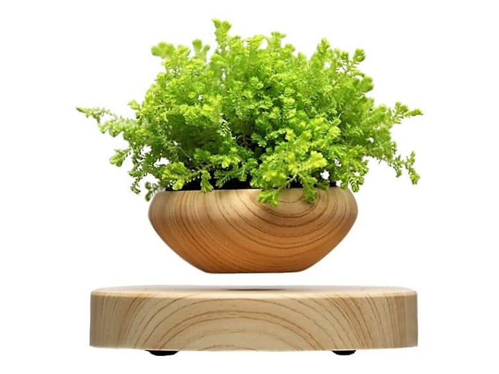 Lewitująca doniczka - Air Bonsai