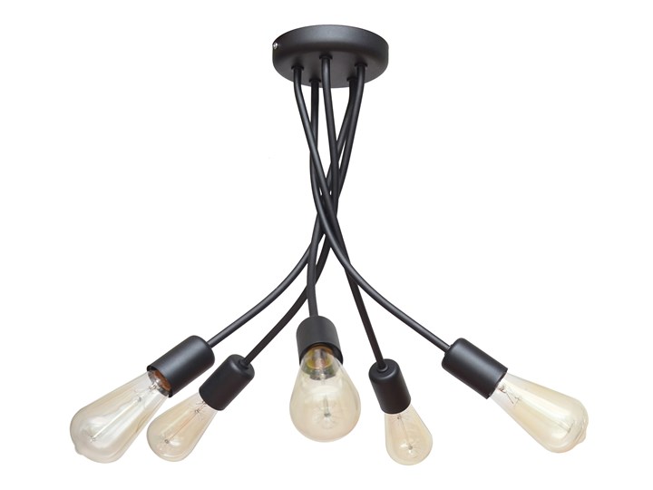 Lampa przysufitowa czarna HARVARD W-1026/5 BK Metal Lampa z kloszem Kolor Czarny