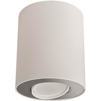 Spot sufitowy tuba SET biały/srebrny śr. 10cm
