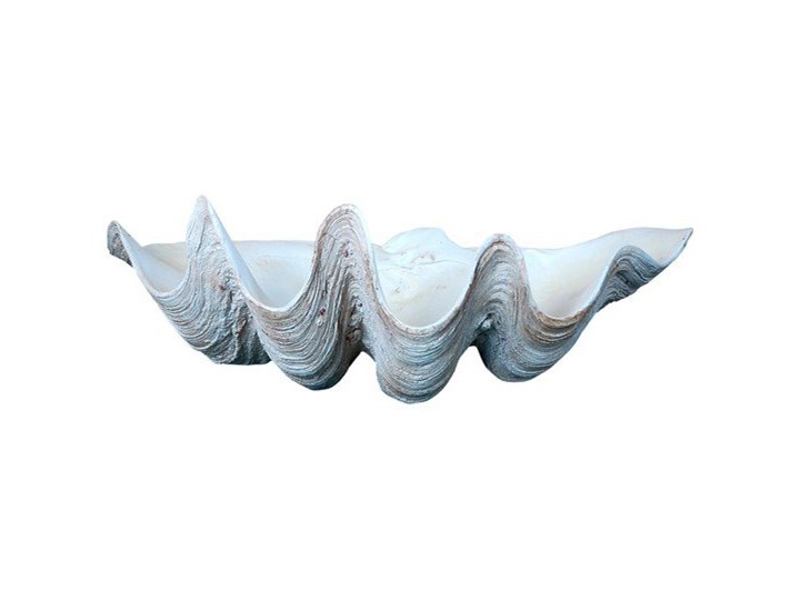 Muszla ozdobna Blue Lagoon 58x34x18 cm kod: ML5682 Tworzywo sztuczne Drewno Drewno Tworzywo sztuczne