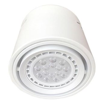LAMPA SUFITOWA TUBO 1x12W LED AR111 ML226