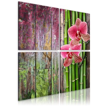 Obraz - Bambus i orchidea