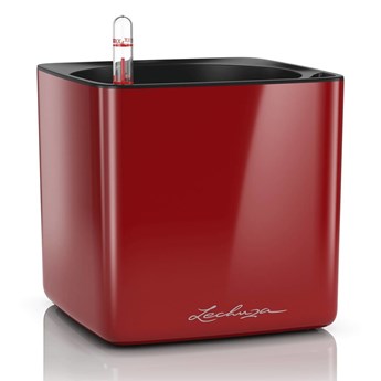 Lechuza - Donica Cube Glossy 16 - czerwona, połysk