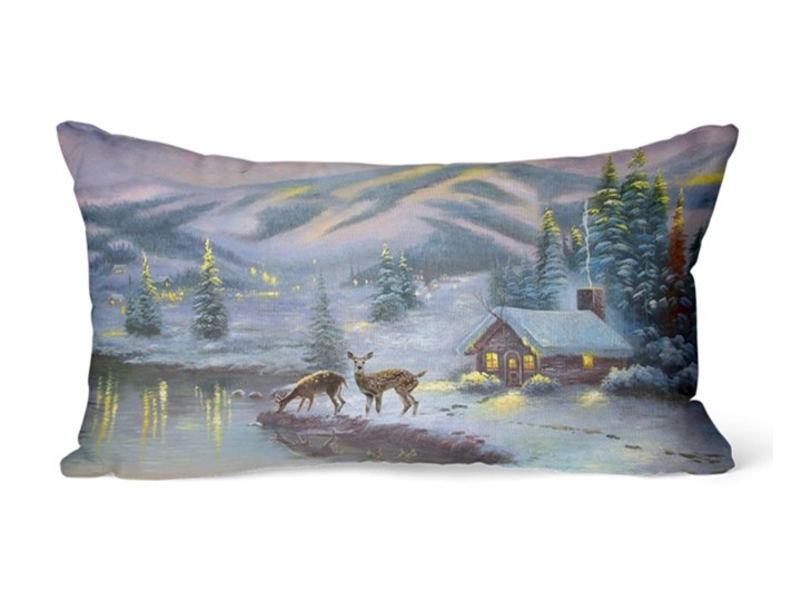POSZEWKA ŚWIĄTECZNA LED 30X50 3