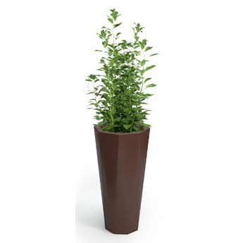 Donica wysoka Octavia 79 cm bez półki, brązowa