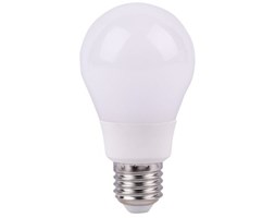 Żarówka LED OMEGA Bulb Wide Angle 6000K 12W E27 (43030)