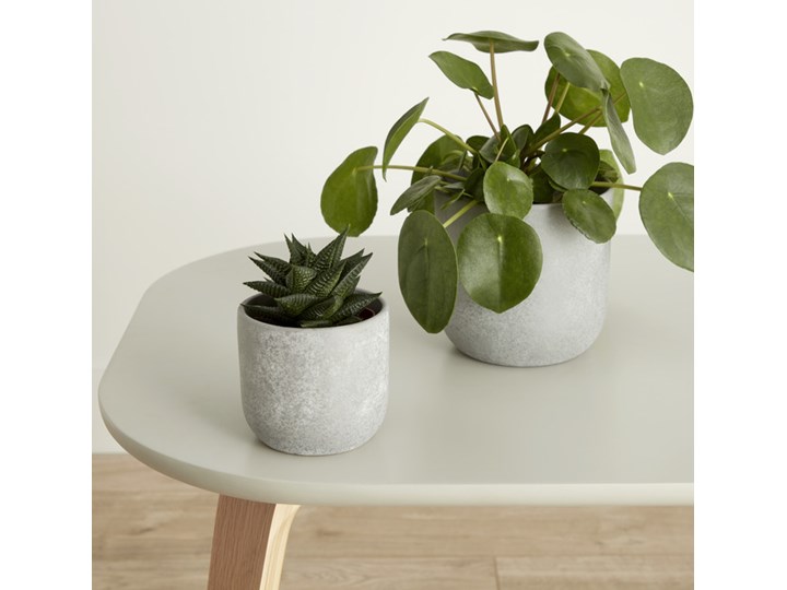 Doniczka ceramiczna GoodHome ozdobna 9 cm speckle Doniczka na kwiaty Ceramika Kategoria Doniczki i kwietniki