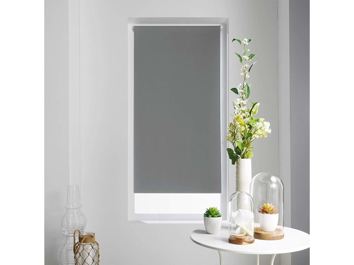 Roleta okienna OCCULT, 45 x 180 cm Kategoria Rolety