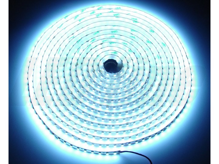 Taśma LED line 600 SMD 3528 biała zimna 10000-13000K 1 metr Kolor Biały