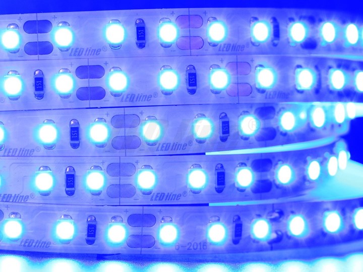 Taśma LED line 600 SMD 3528 niebieska 1 metr Kolor