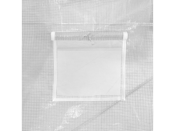 vidaXL Szklarnia ogrodowa, 9 m², 300 x 300 x 200 cm Kategoria