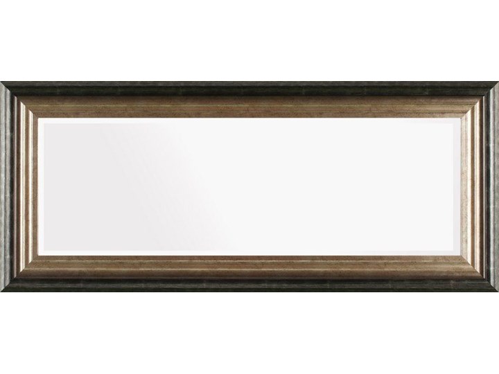 Lustro Romane 46x107cm, 46 × 107 cm Prostokątne Lustro z ramą Ścienne Pomieszczenie Przedpokój