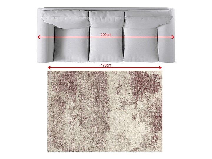 Dywan Softness silver/claret 120x170cm, 120x170cm Prostokątny Syntetyk Dywany 120x170 cm Pomieszczenie Salon