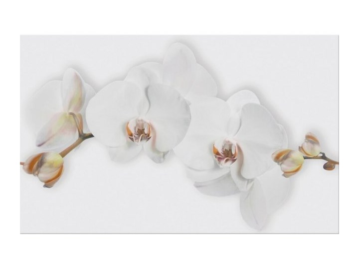 Płytka ścienna inserto MARISOL white flower glossy 25x40 gat. I*