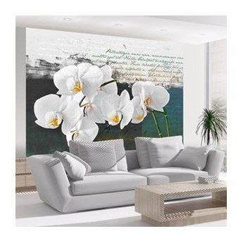 Fototapeta - Orchidea - inspiracja poety