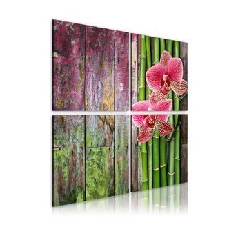 Obraz - Bambus i orchidea