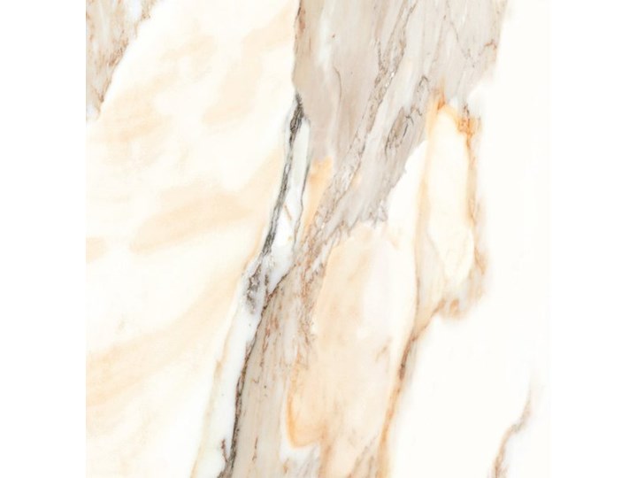 CERRAD CALACATTA GOLD POLER 59,7X59,7 59,7x59,7 cm Kwadrat Płytki podłogowe Płytki tarasowe Płytka bazowa Płytki ścienne Kolor Złoty
