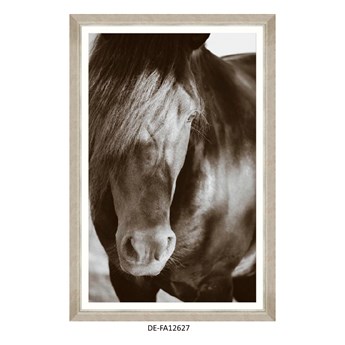 Obraz Arabian Beauty 80x120 DE-FA12627 MINDTHEGAP DE-FA12627