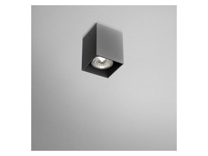 Oprawa natynkowa QUPET Aqform 40513-0000-U8-PH-01 Oprawa led Oprawa stropowa Kategoria Oprawy oświetleniowe