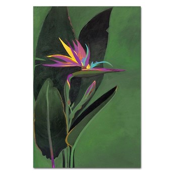 STRELICJA KRÓLEWSKA obraz ręcznie malowany kwiat pomarańczowo-fioletowy na zielonym tle, 60x90 cm