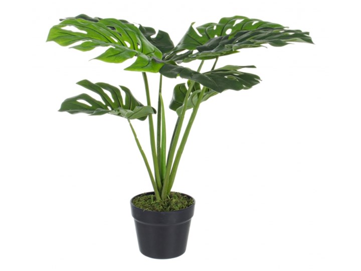 SZTUCZNY FILODENDRON Kategoria Sztuczne kwiaty
