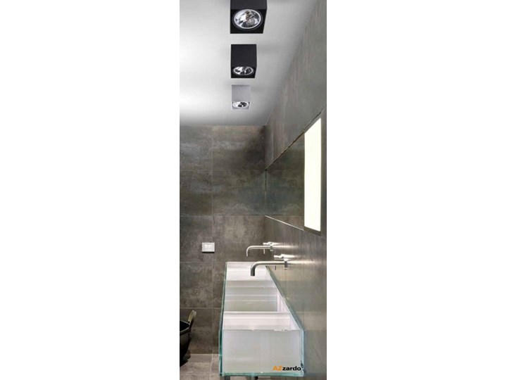 Lampa ALEX 12V Oprawa led Kwadratowe Oprawa stropowa Kategoria Oprawy oświetleniowe Kolor Biały