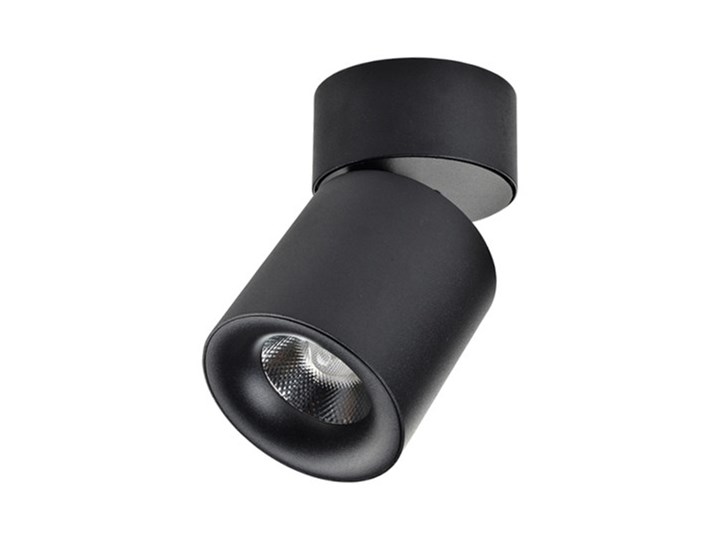 SIENA 10W Oprawa led Okrągłe Oprawa stropowa Kategoria Oprawy oświetleniowe