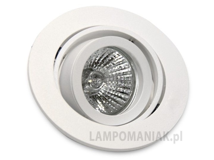 Lampa techniczna Carlo Okrągłe Oprawa stropowa Kategoria Oprawy oświetleniowe Oprawa wpuszczana Kolor Szary