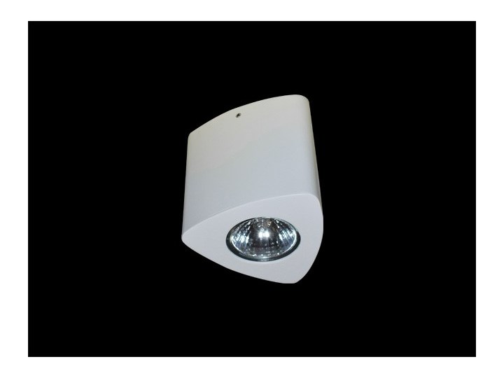Lampa techniczna Dario Nieregularne Oprawa stropowa Oprawa led Kategoria Oprawy oświetleniowe