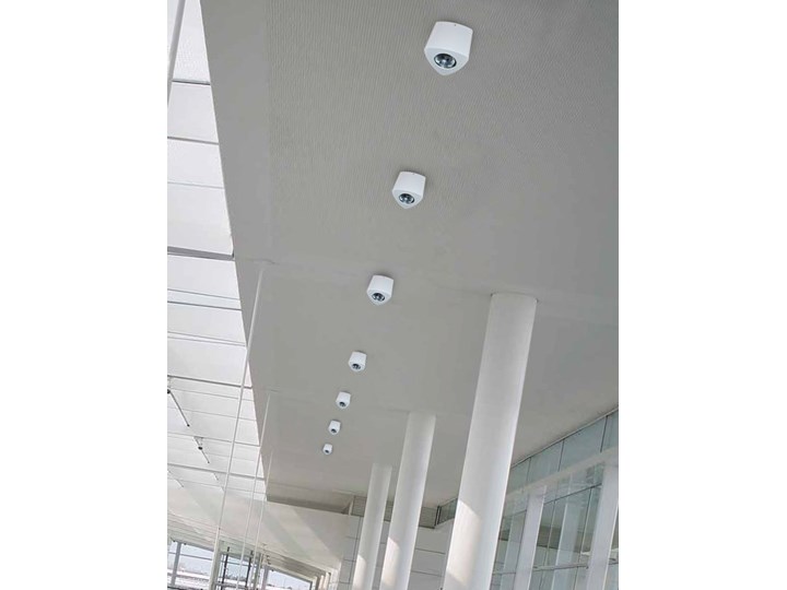 Lampa techniczna Dario Nieregularne Oprawa stropowa Oprawa led Kategoria Oprawy oświetleniowe