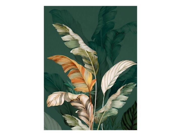 Obraz Canvas Botanic Green 60 x 80 cm